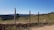 A rural landscape featuring sturdy fiberglass posts supporting a wire fence under a clear blue sky.