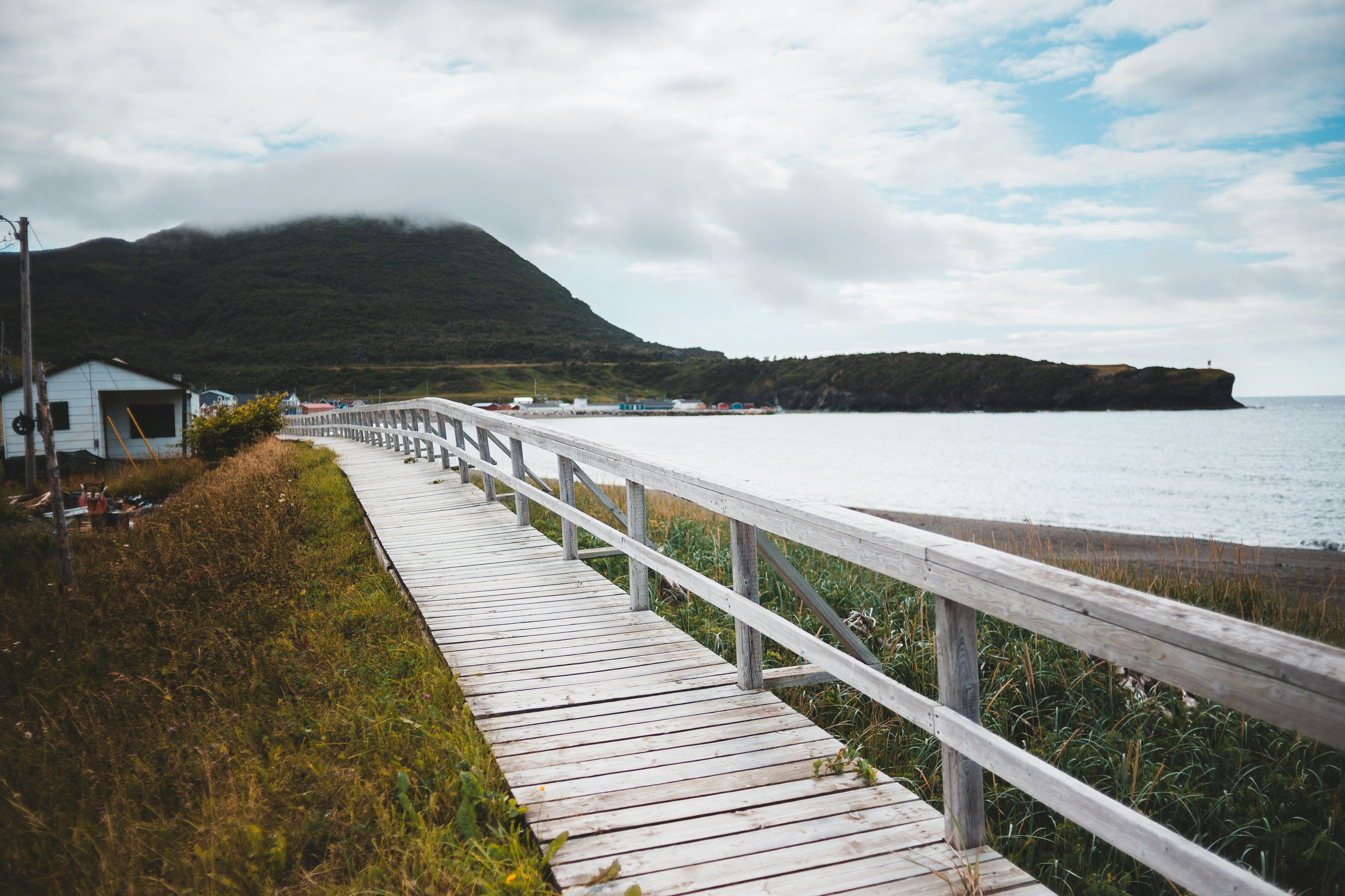 brown wooden dock on body of water during daytime