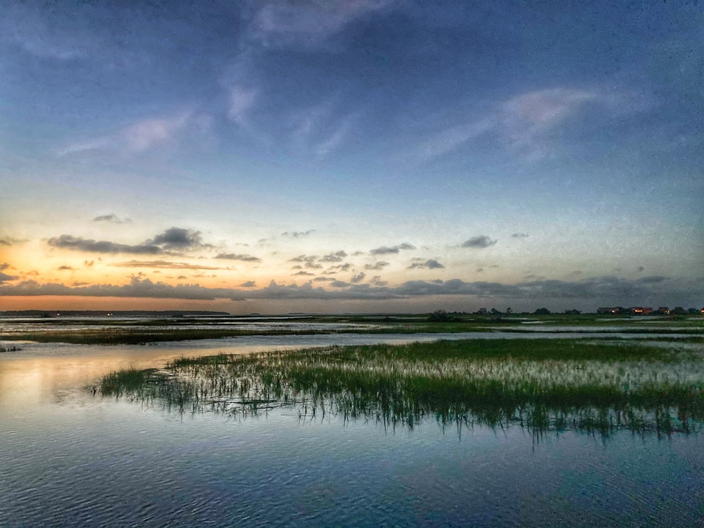 green grass field near body of water under blue sky during daytime