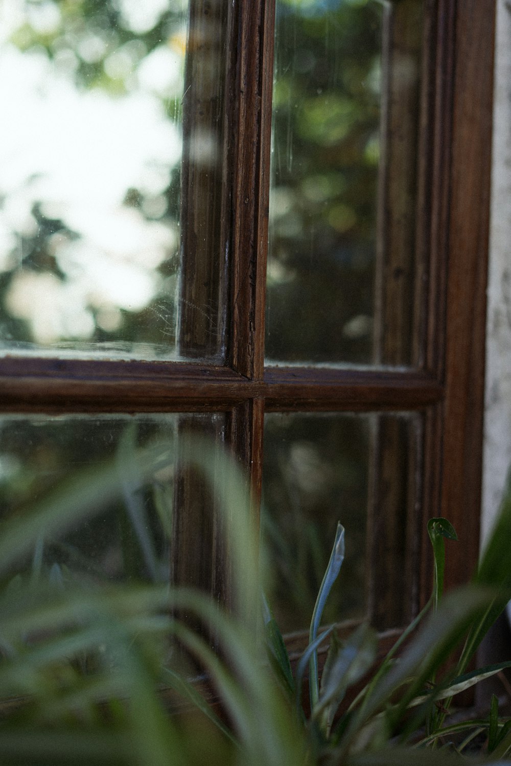 brown wooden framed glass window