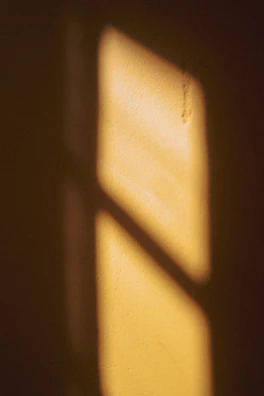 Soft light casting shadows on smooth, rounded wooden objects in light brown.