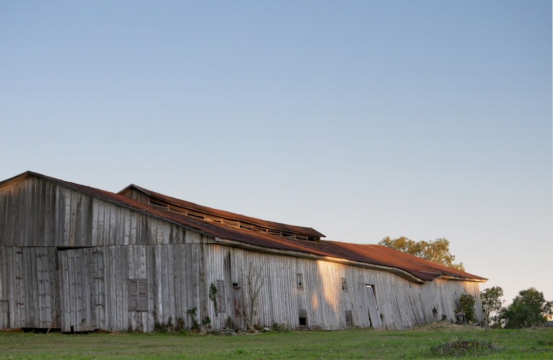 brown wooden house under white sky during daytime