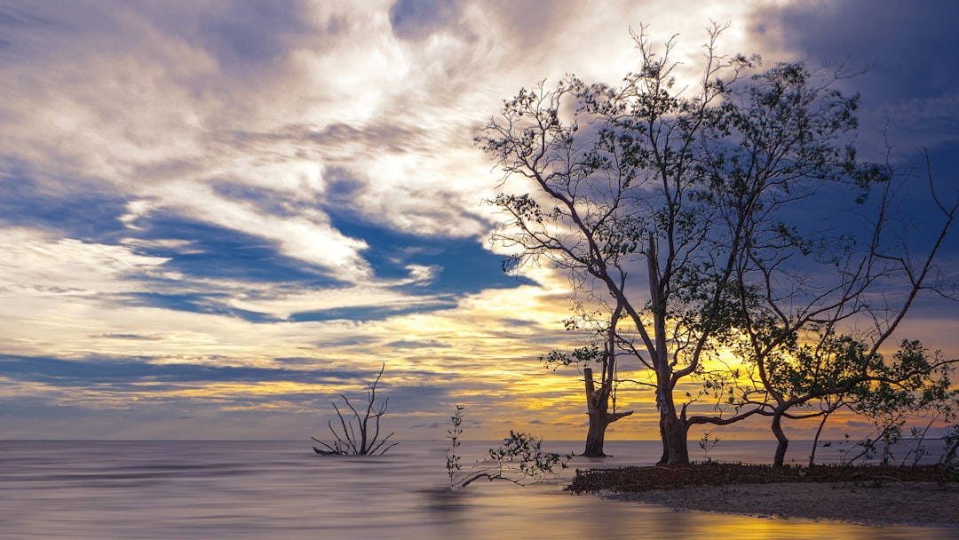 Shore photo spot Kelanang Sekinchan