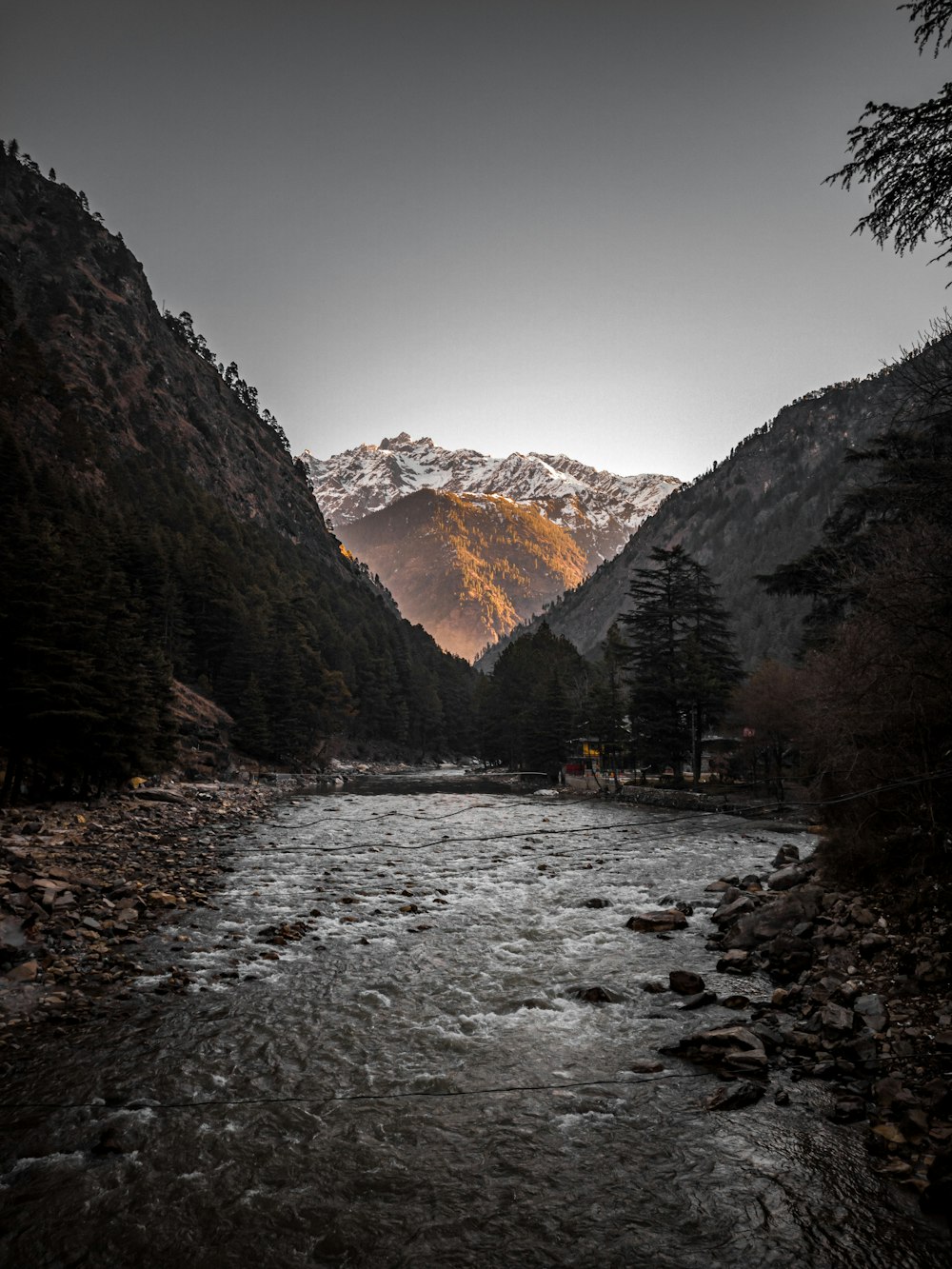 river between trees and mountains during daytime