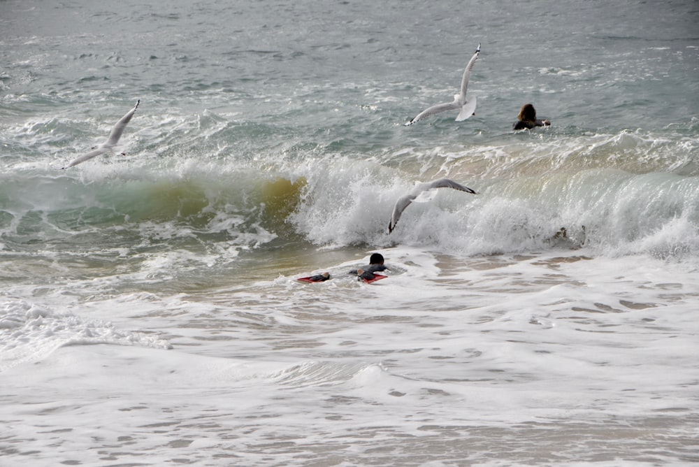 person surfing on sea waves during daytime