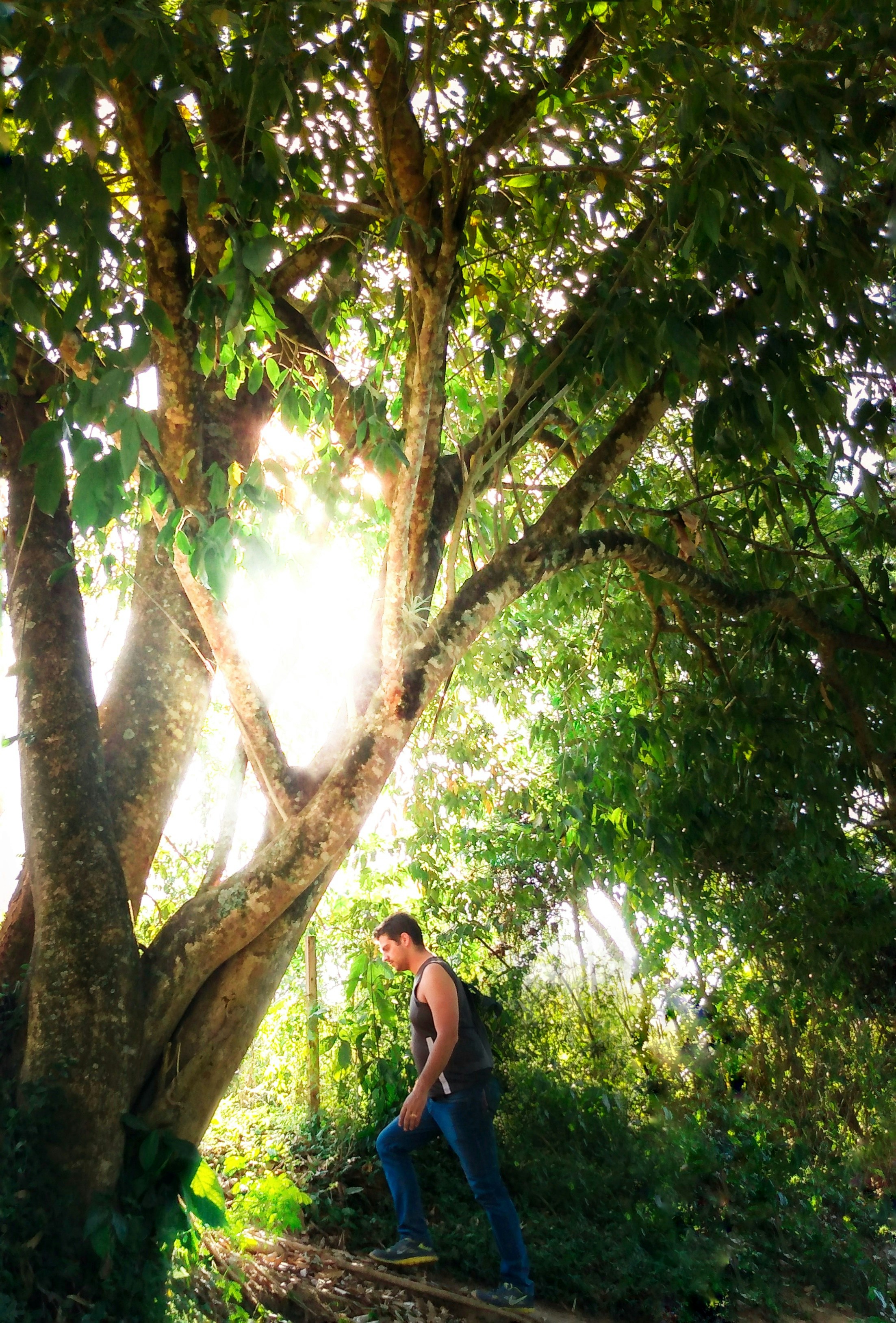 woman in black tank top standing under green tree during daytime photo ...