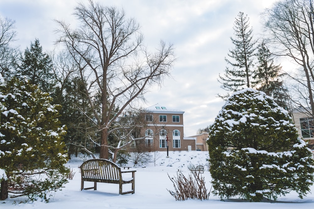 brown wooden bench on snow covered ground