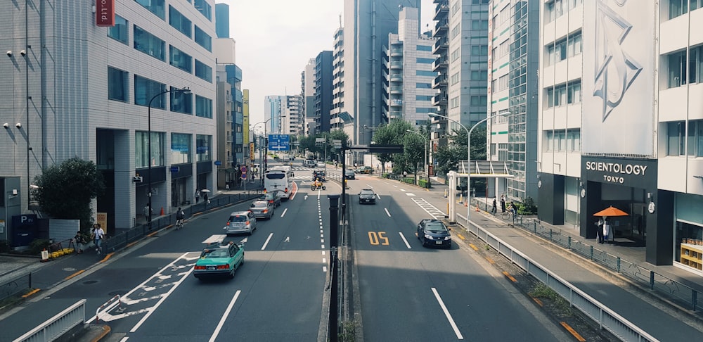 cars on road near high rise buildings during daytime