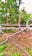 A line of ants is seen walking along a black wire that is intertwined with a chain-link fence. The background shows a blurred view of trees and green foliage.