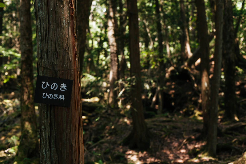 リトリート・禅・スピリチュアル体験