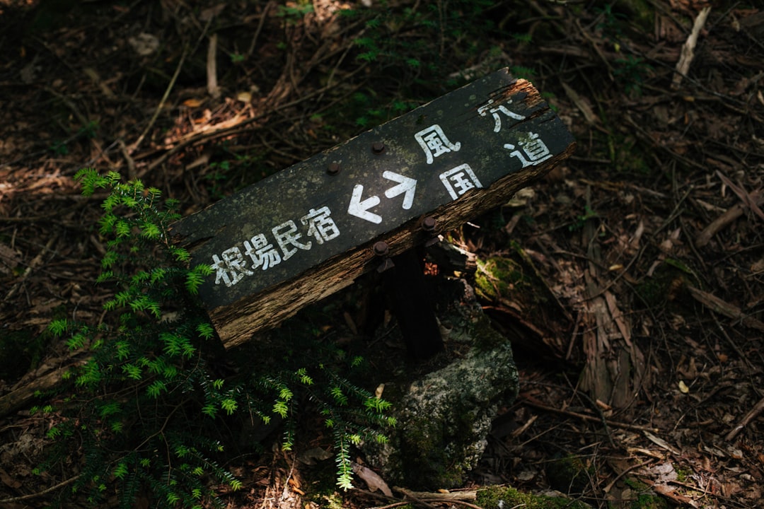 Jungle photo spot Tokyo Koishikawa