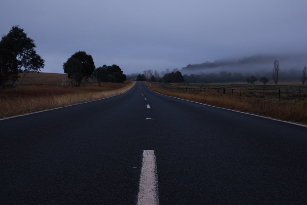 gray concrete road between green grass field under gray sky