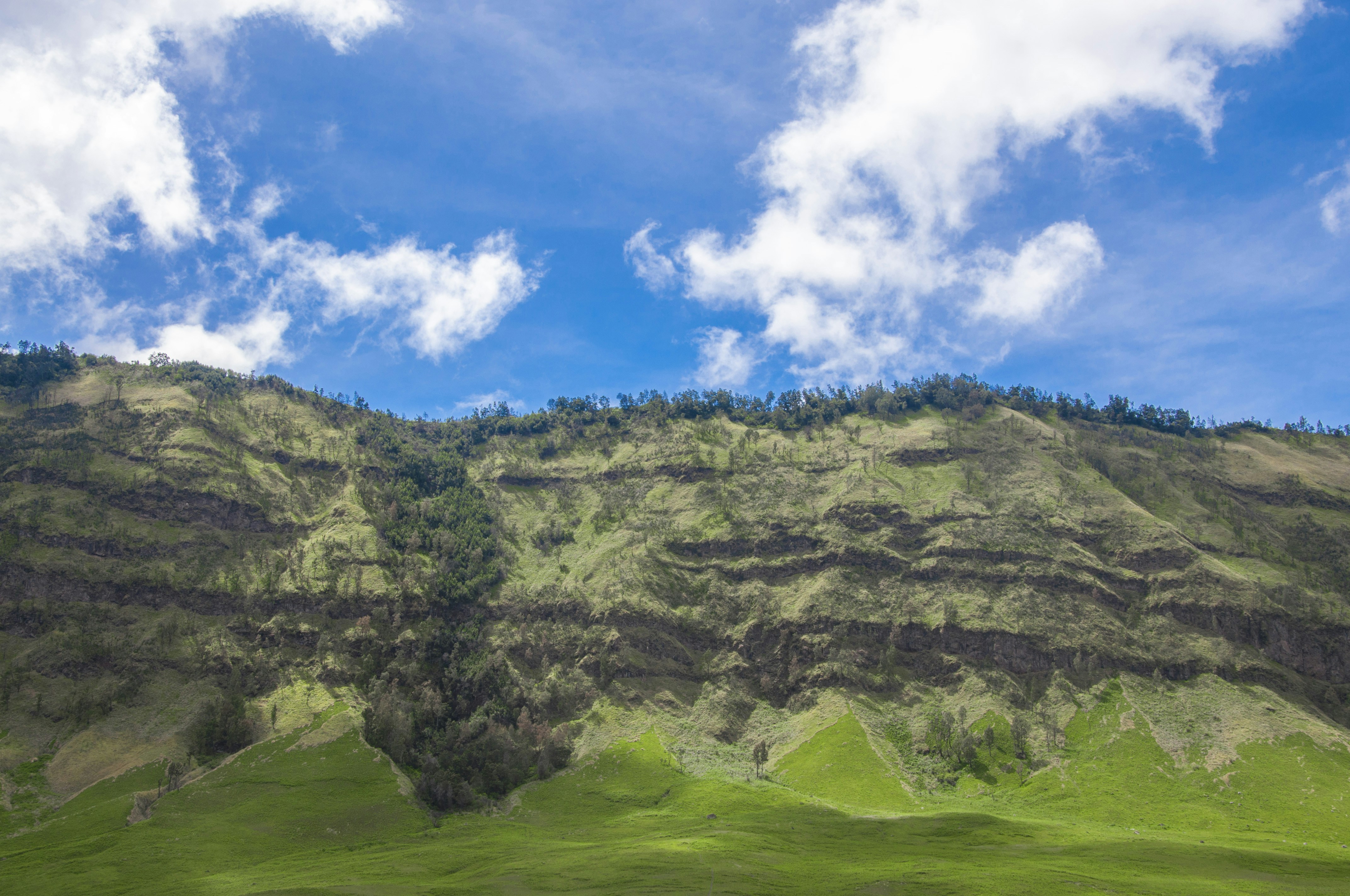 Photo by elfduadelapan