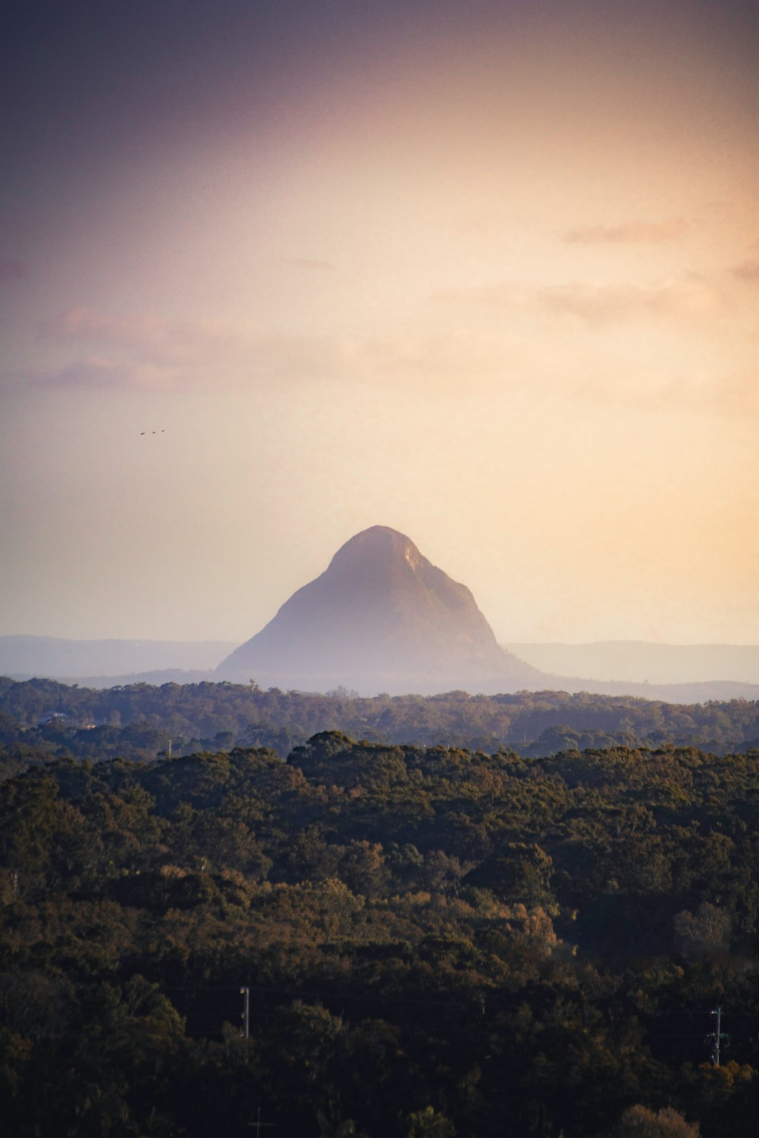 Hill photo spot Wild Horse Mountain Lookout Sunshine Coast QLD