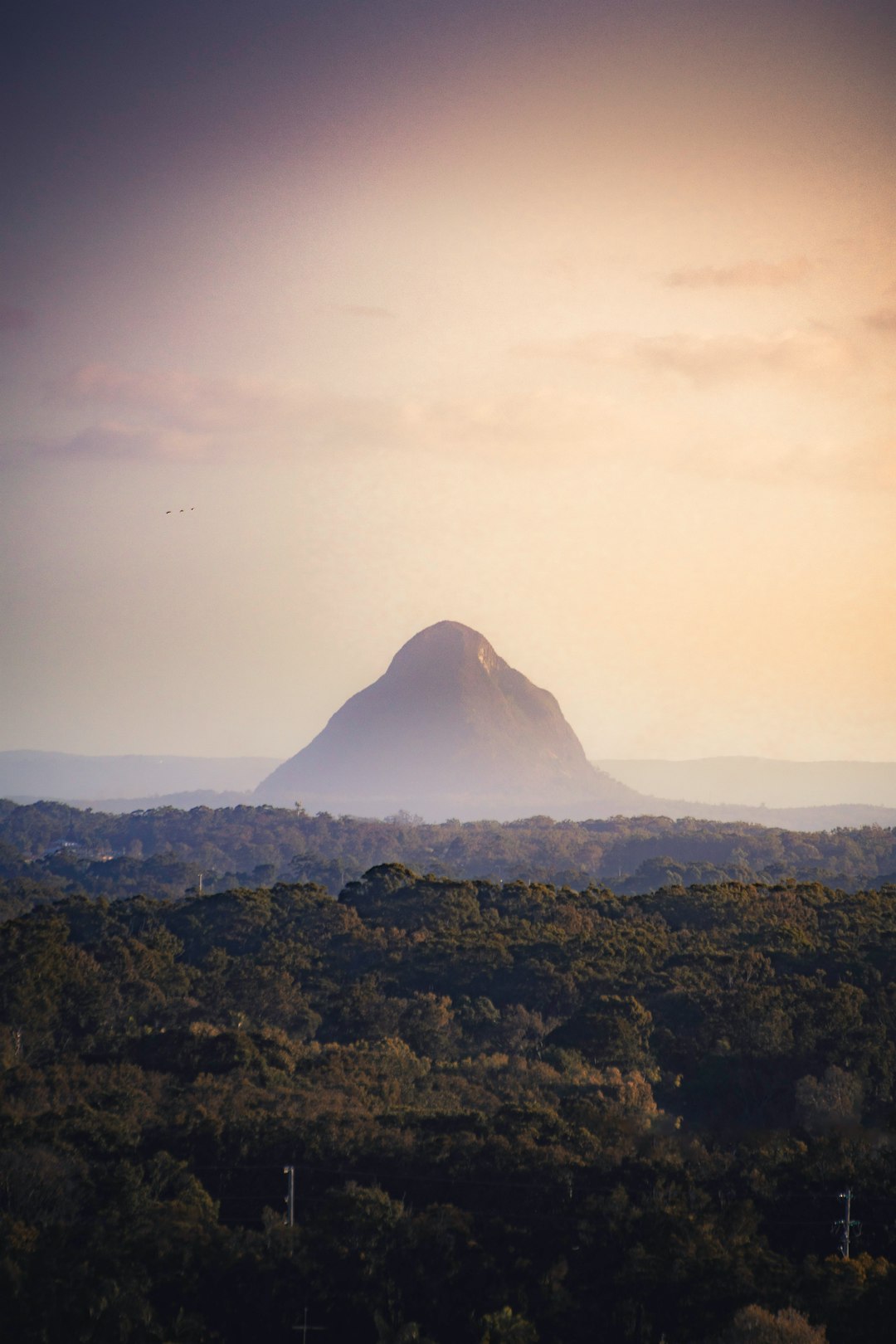 photo of Wild Horse Mountain Lookout Hill near Mount Beerwah