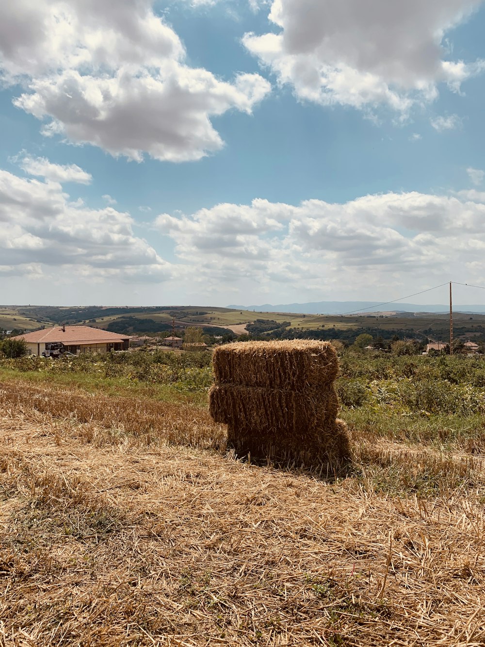 brown hays on brown grass field under blue and white cloudy sky during daytime