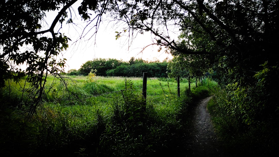 travelers stories about Forest in Saskatoon, Canada