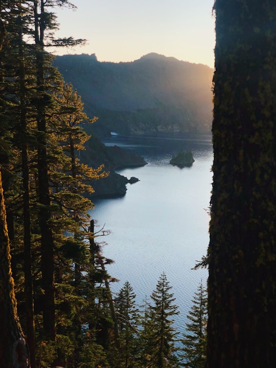 green trees near body of water during daytime in Crater Lake, Phantom Ship United States