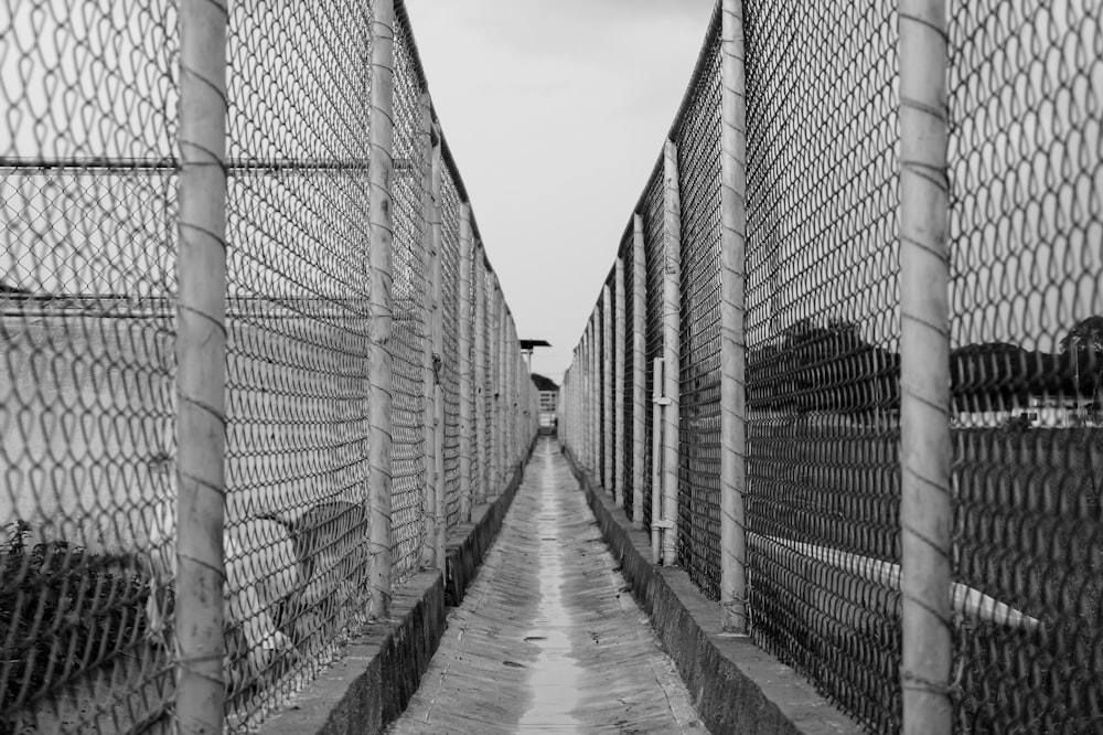 grayscale photo of metal fence