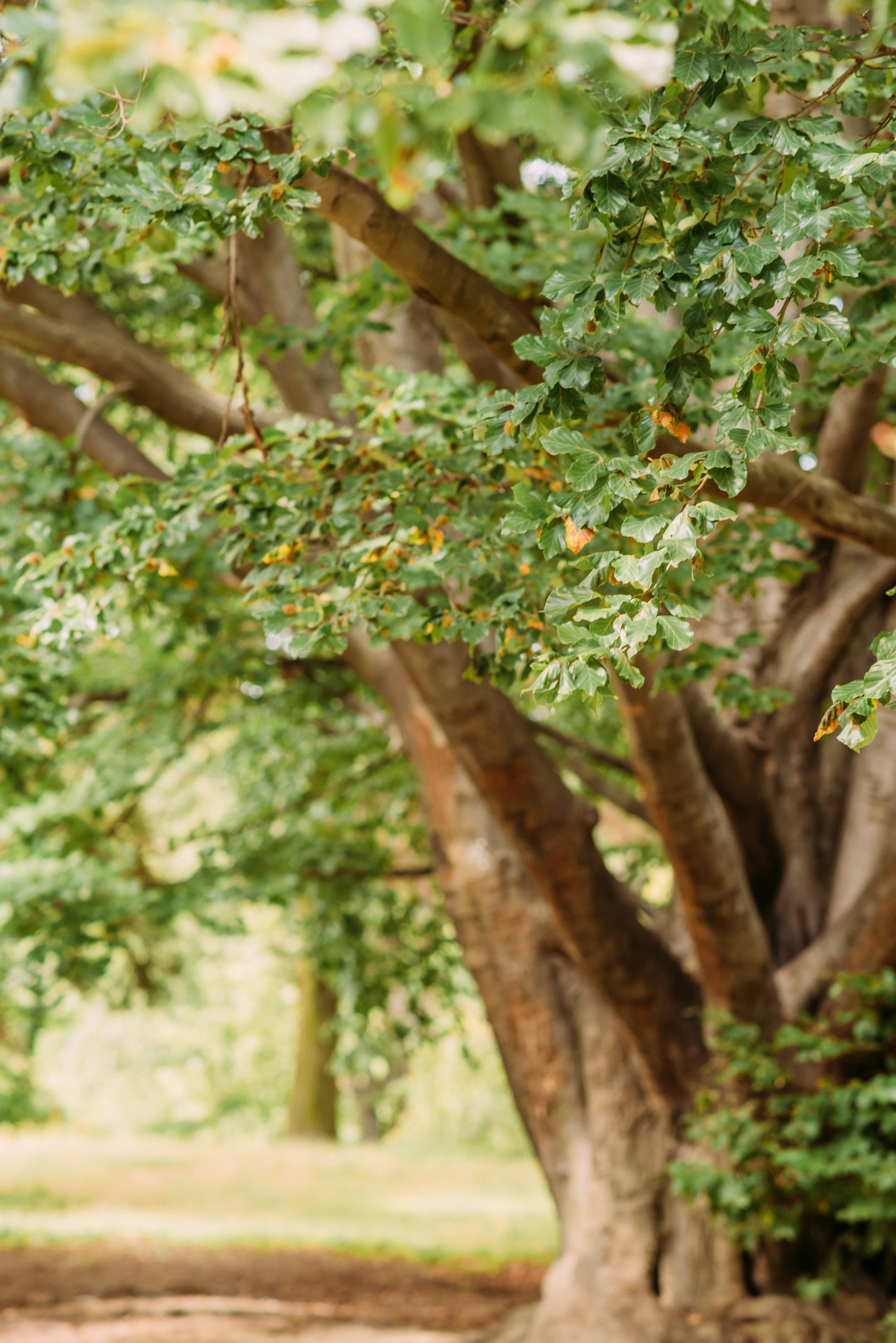 Photo by eugenivy_now