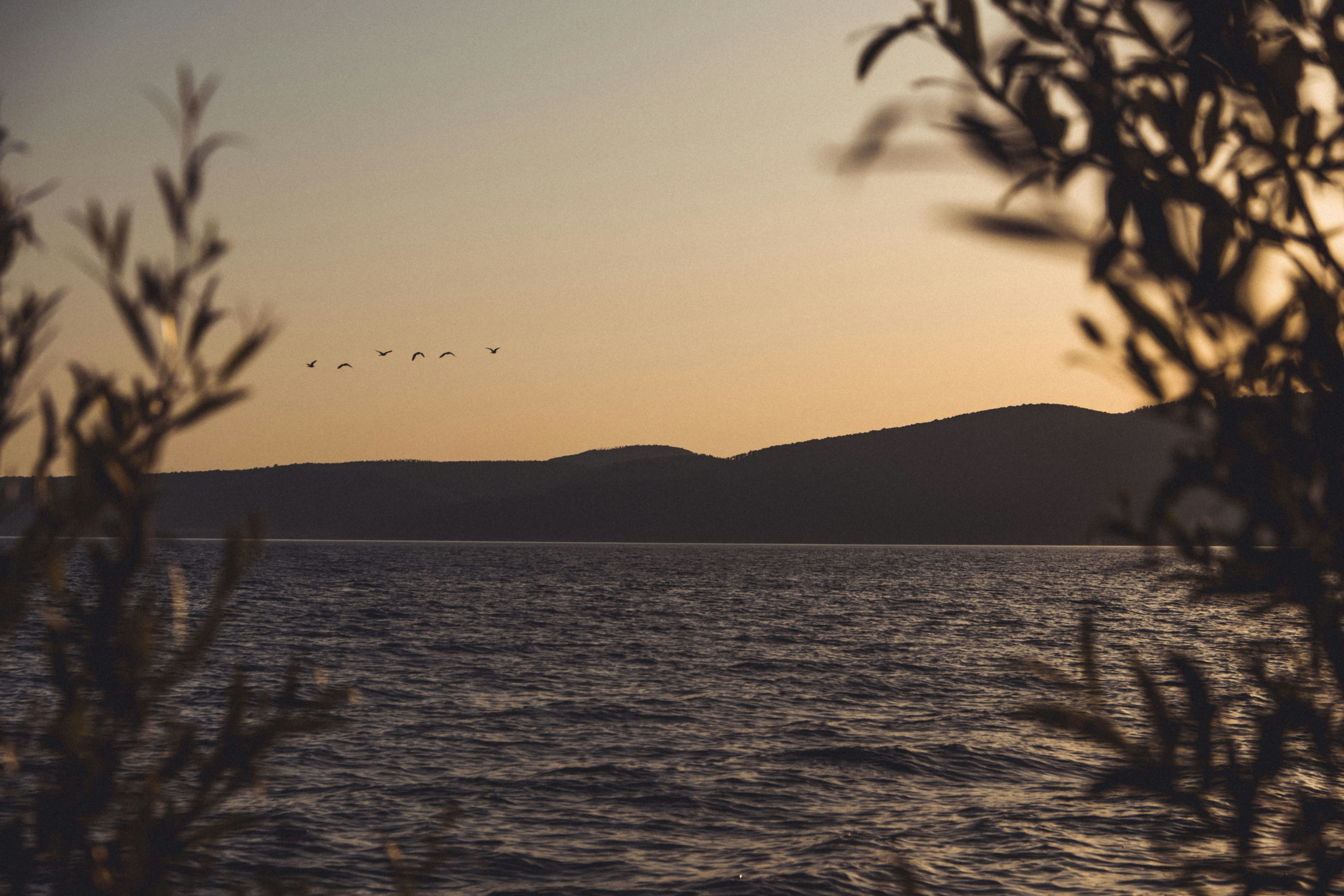 Photo by moritz_photography