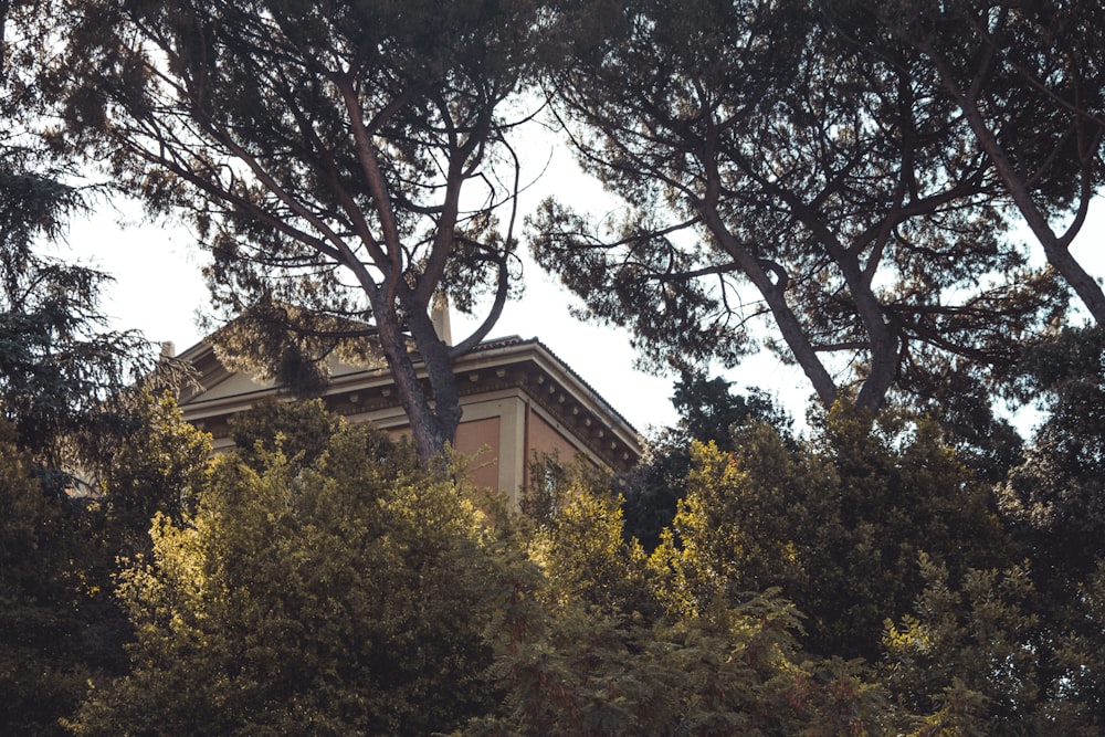 brown and green trees near brown concrete building during daytime