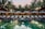 A serene resort setting features a series of lounge chairs lined in a row beside a reflective swimming pool. Large umbrellas provide shade, set against a backdrop of tall palm trees and a warm, glowing structure with expansive windows. The early evening sky casts a soft, calming glow over the entire scene.