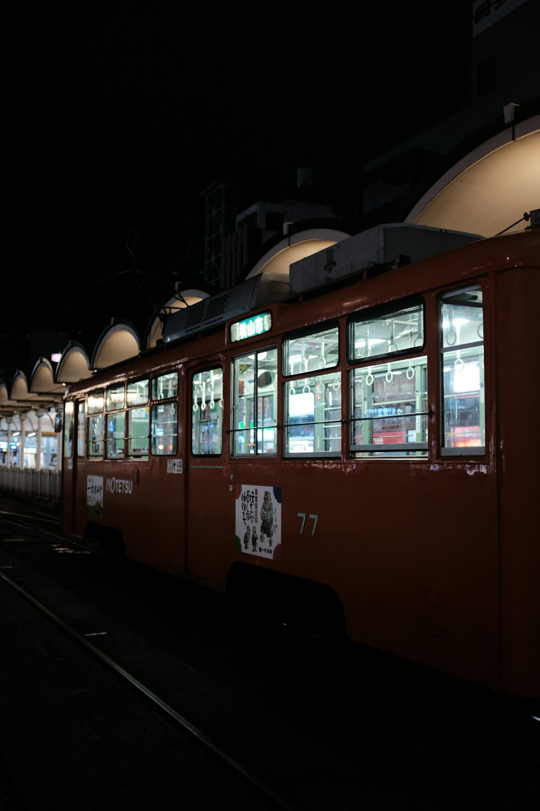 brown and white train during night time