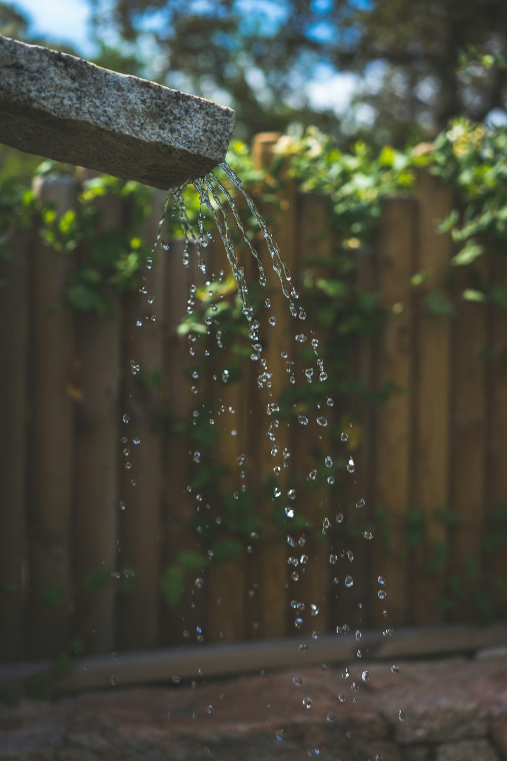 water droplets on brown wooden fence