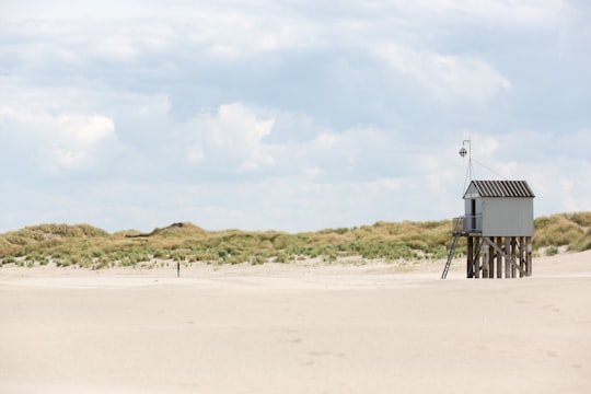 white and black windmill on brown field under white clouds during daytime in Terschelling Netherlands