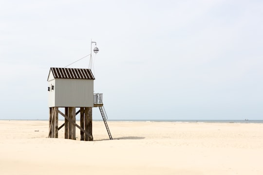 brown wooden lifeguard house on beach during daytime in Terschelling Netherlands