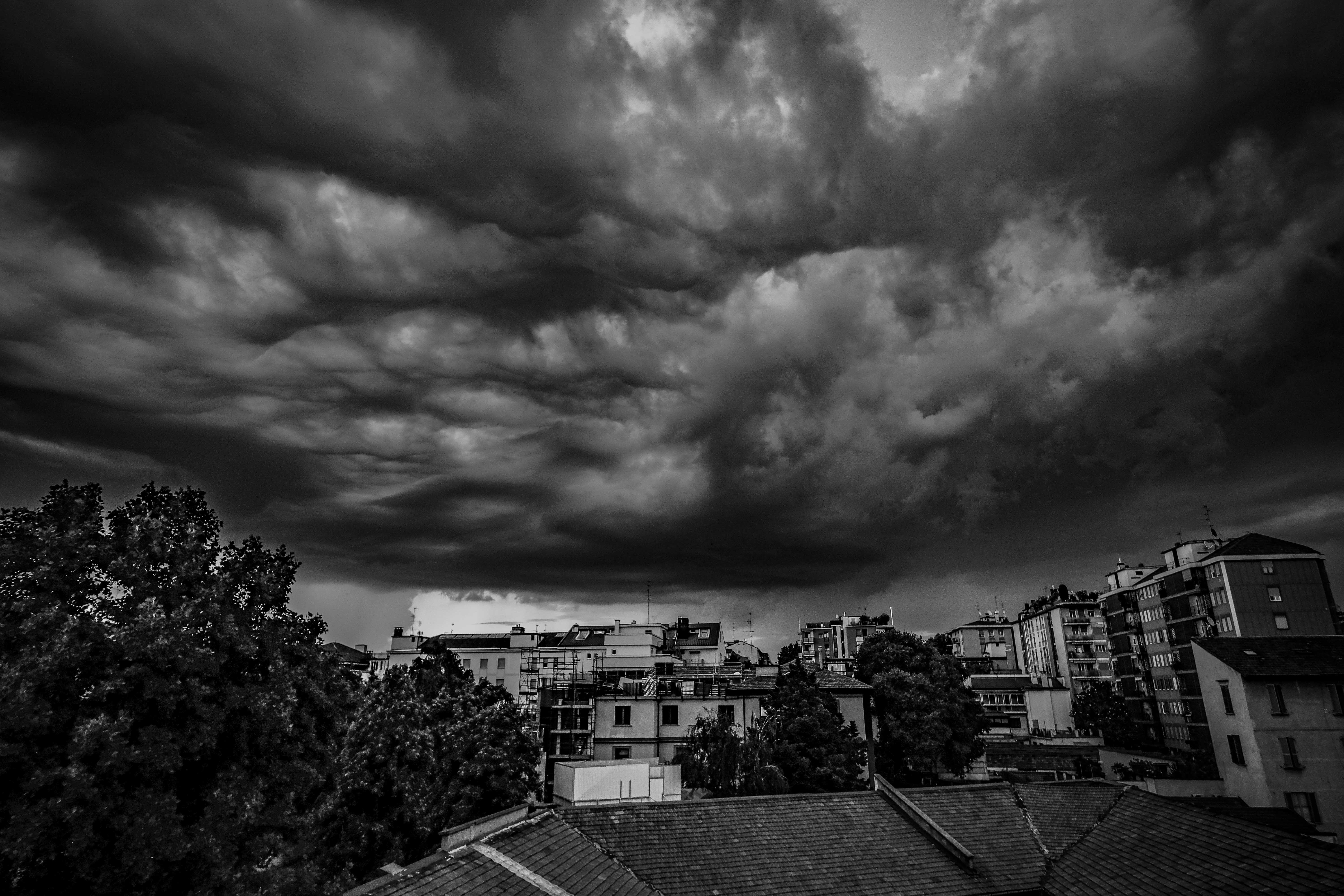 Photo by francesco_ungaro