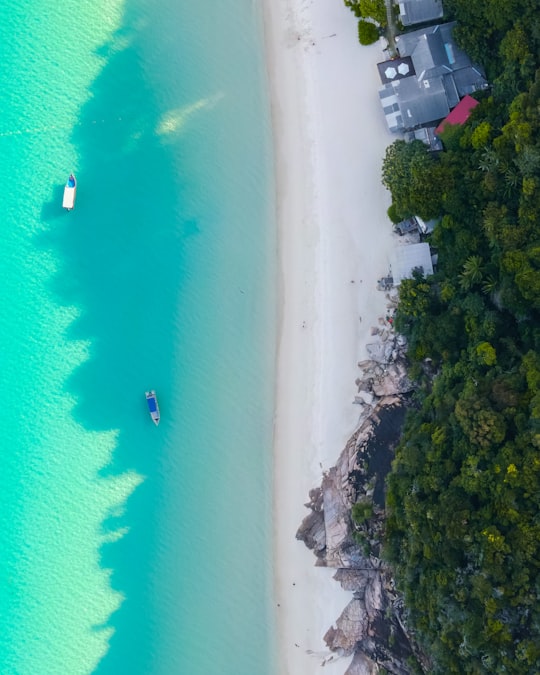 aerial view of body of water during daytime in Redang Island Malaysia
