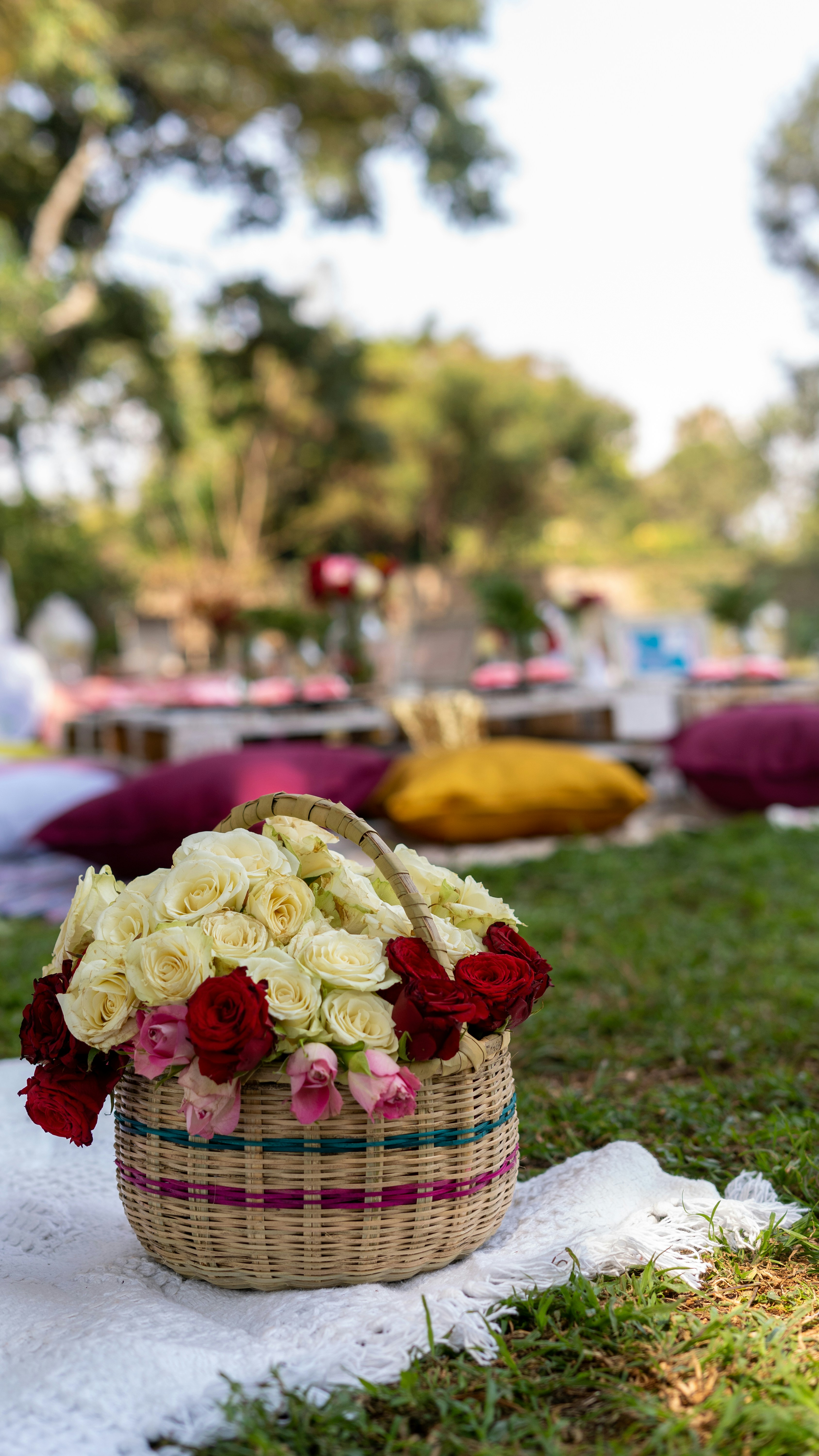 Red and white wicker basket on green grass during daytime photo Free