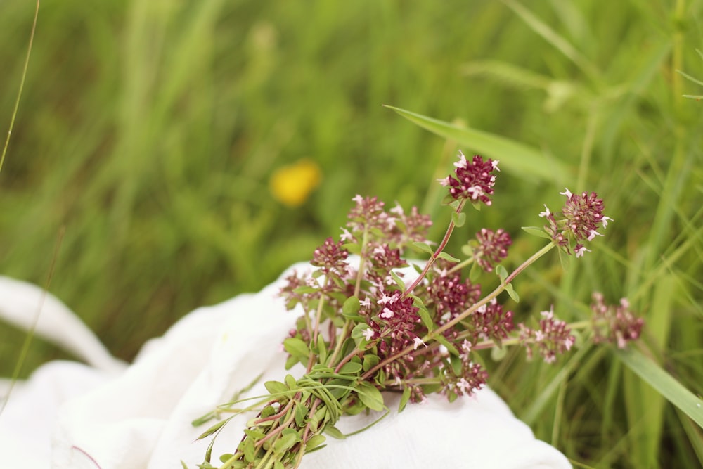 white and pink flowers in tilt shift lens