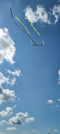 Colorful kites soaring high against a bright blue sky with gentle clouds.