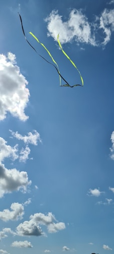 Colorful kites soaring high against a bright blue sky with gentle clouds.