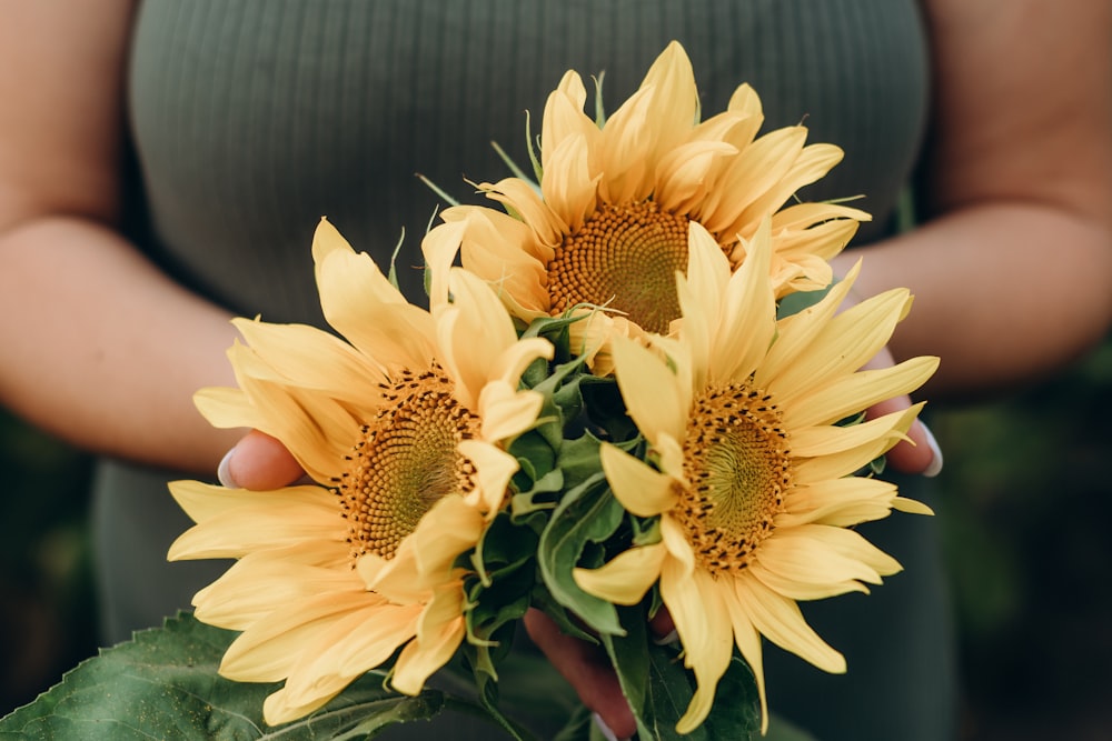 yellow sunflower in close up photography