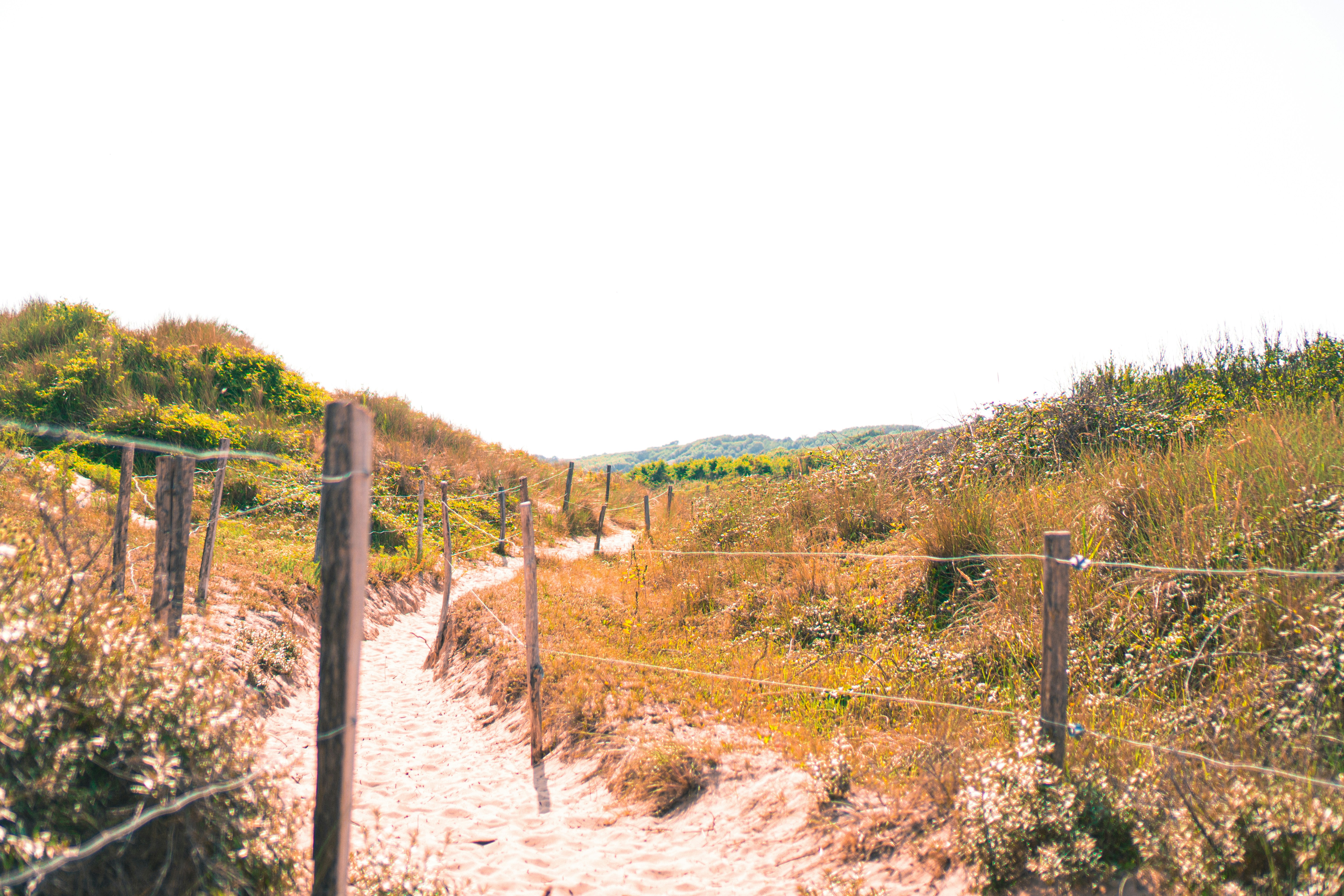 Photo by nngvandenberg