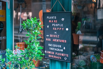 A storefront display features a black letter board with colorful letters spelling messages about plants, happiness, and social media handles. The board is surrounded by various plants, including a prominent cactus in a terracotta pot. The reflection of the street and other shop items are visible in the glass window.