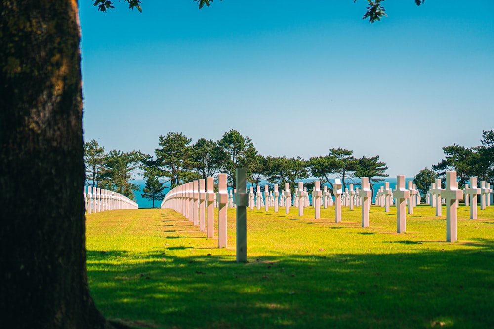 white wooden fence on green grass field during daytime