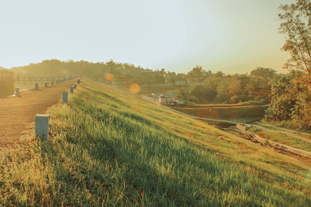 green grass field near body of water during daytime