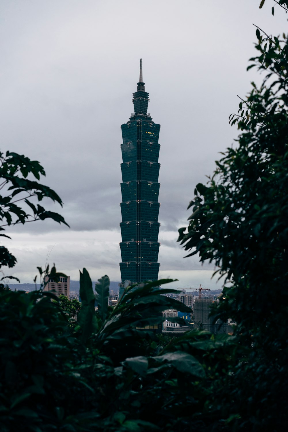 green trees near high rise building