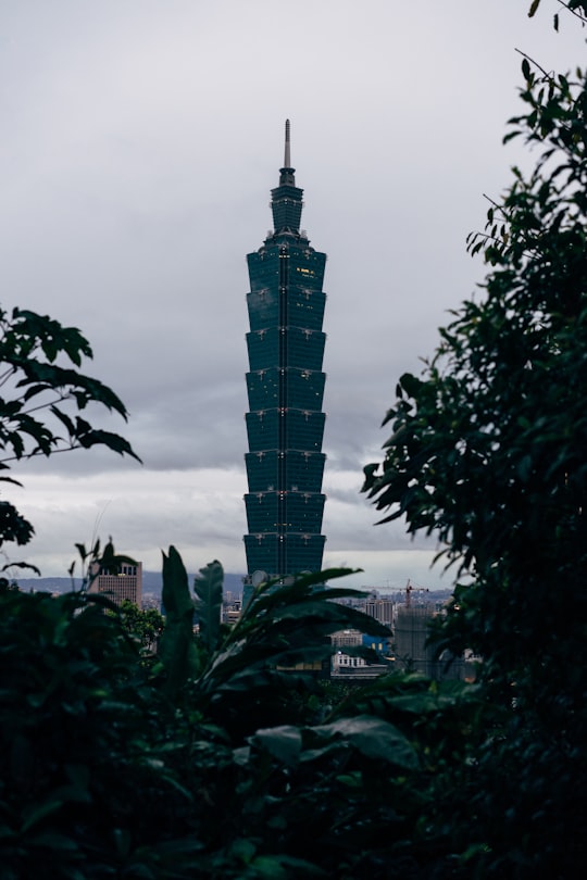 green trees near high rise building in Xiangshan Hiking Trail Taiwan
