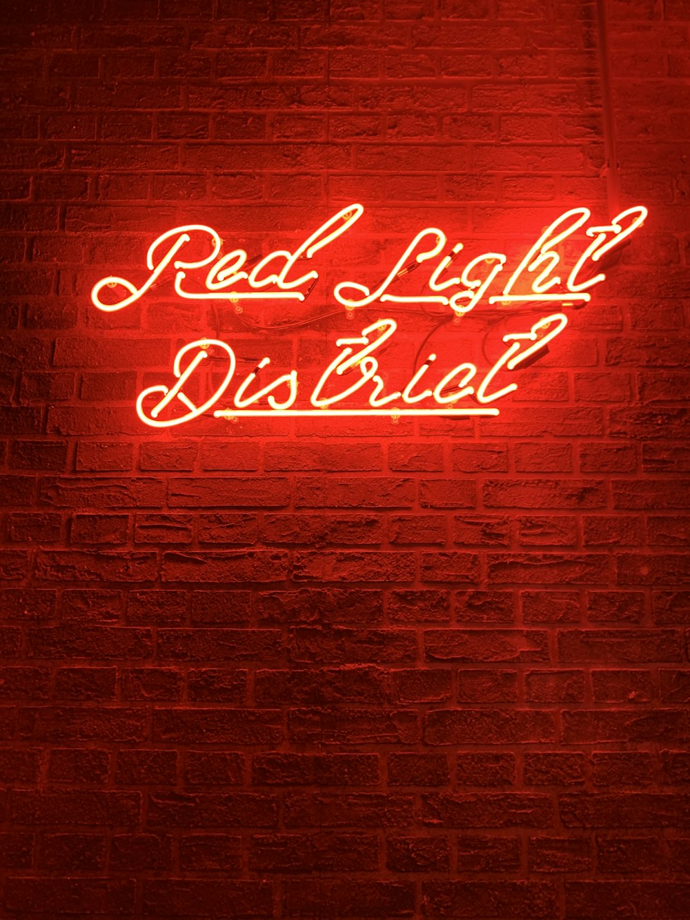 red and white happy birthday neon light signage