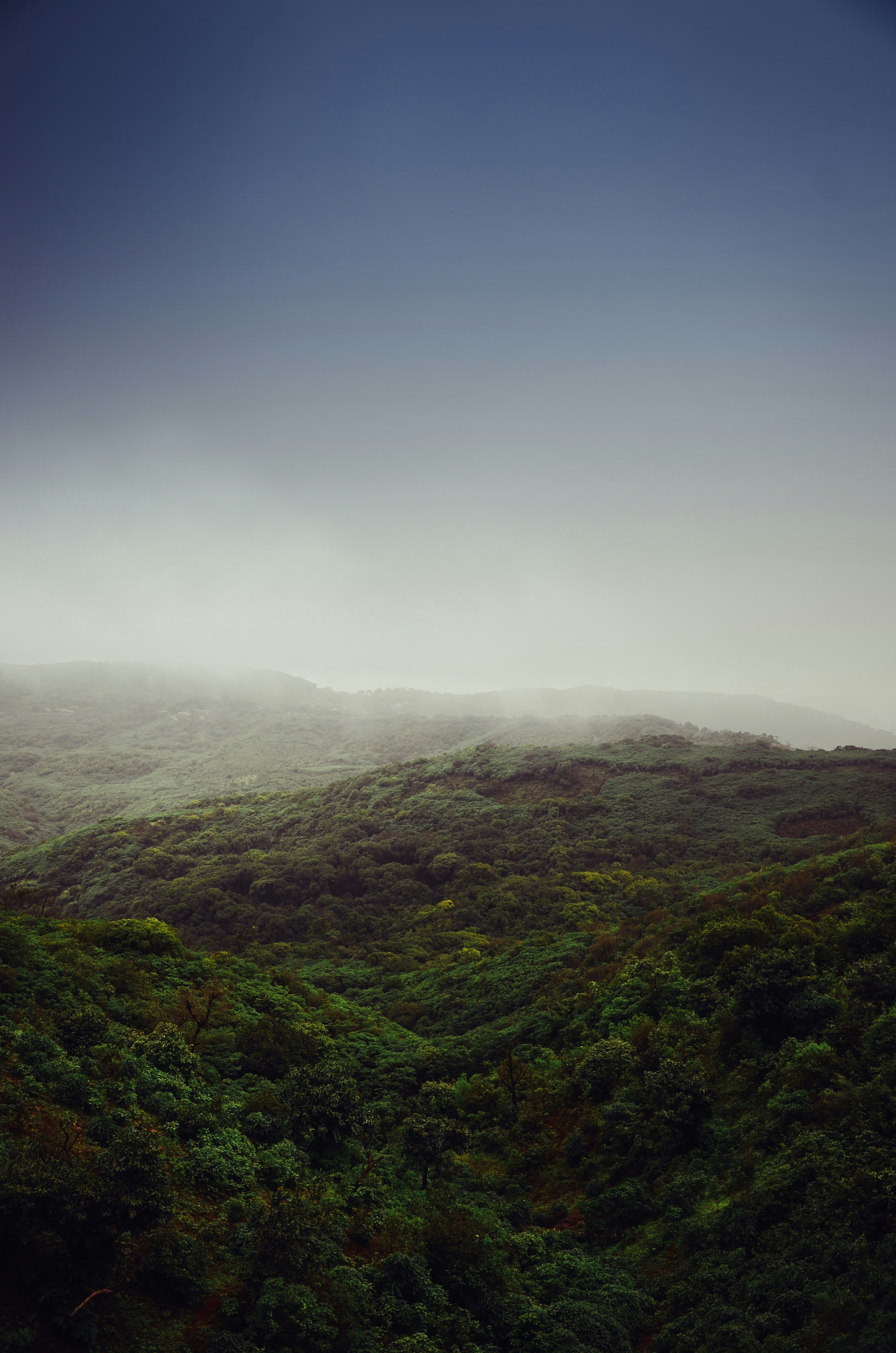 Photo by shotsbyaniketpatil