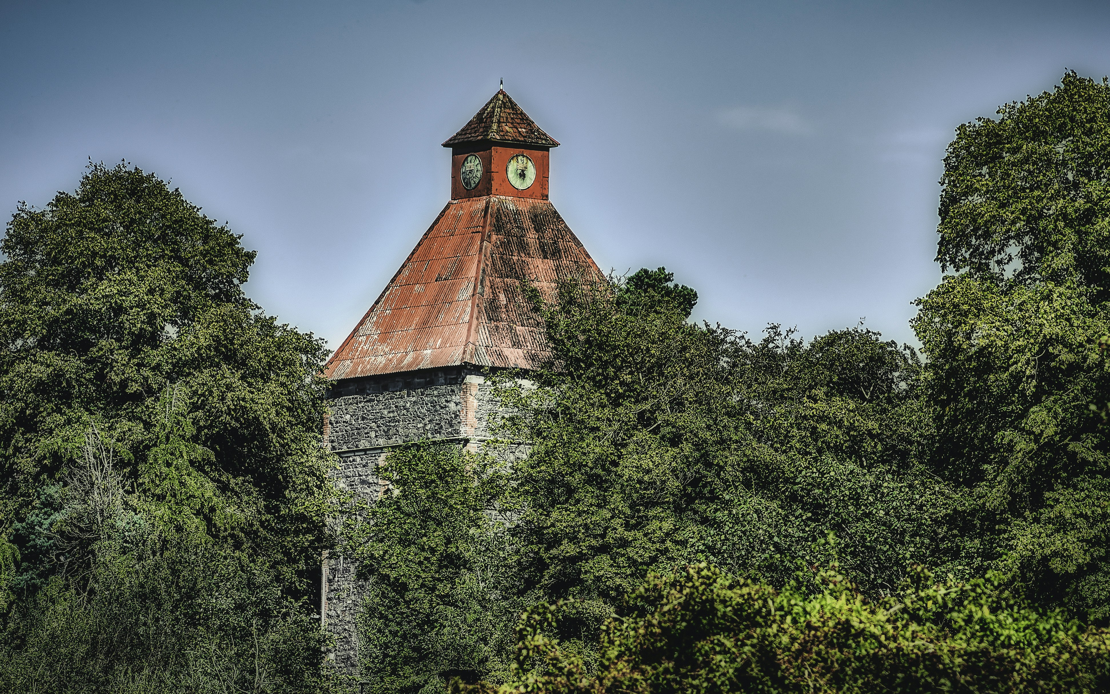 An old stone clock tower rises from the woods at Burn Equestrian Centre in South Belfast (Aug., 2019).