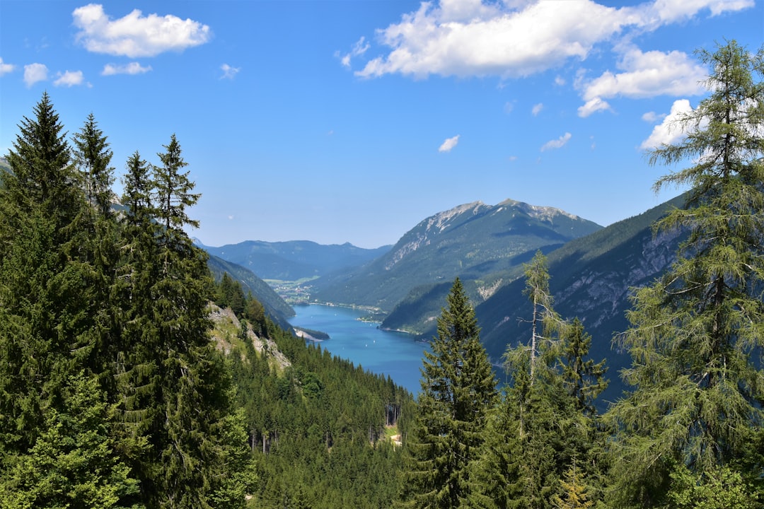 green trees on mountain under blue sky during daytime