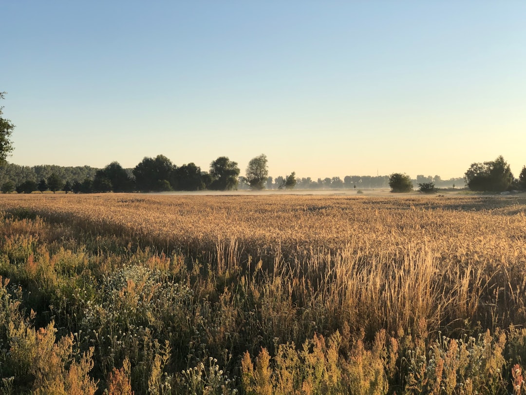 photo of Germany Plain near Rotes Moor