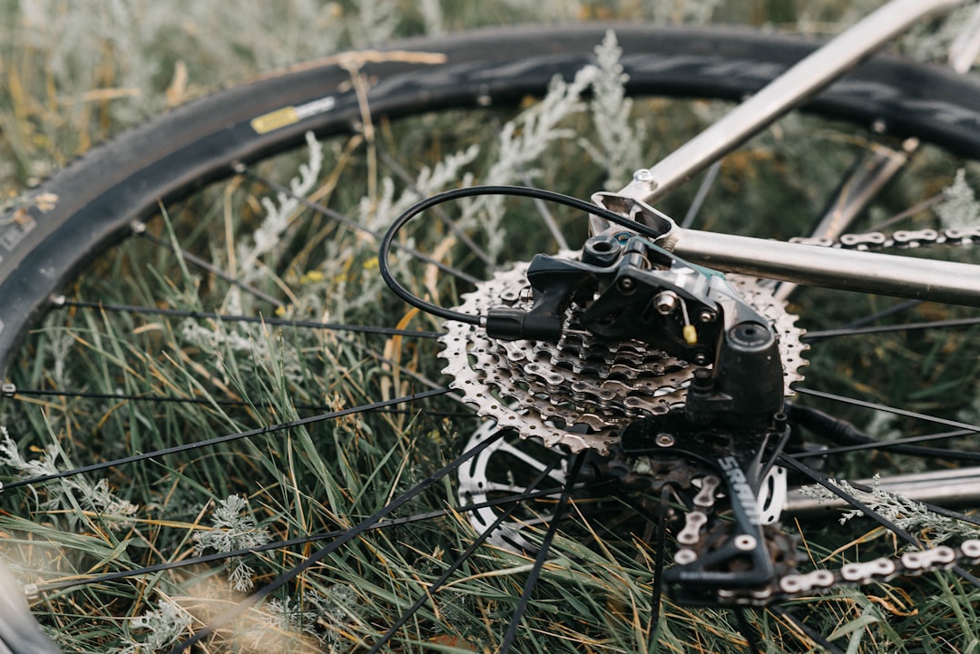 black bicycle wheel on green grass